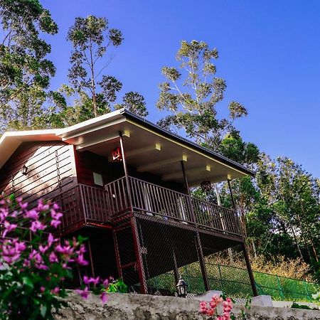 Wild Orchid Eco Tourism Мунар Екстериор снимка