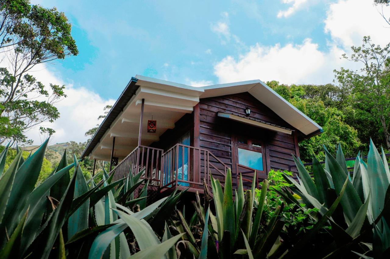 Wild Orchid Eco Tourism Мунар Екстериор снимка